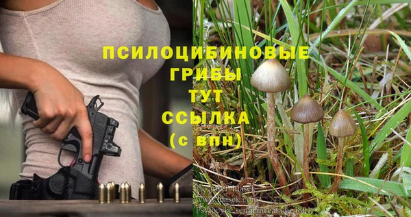 твердый Баксан