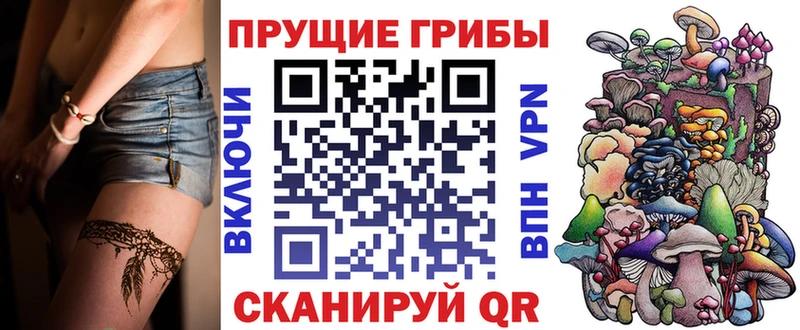 Купить где  Анива  Галлюциногенные грибы Cubensis 